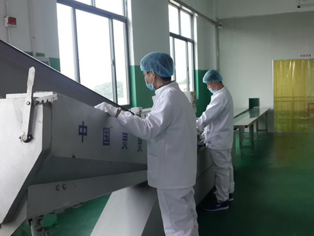 企业形象